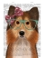 Picture of SHETLAND SHEEPDOG WITH PINK BOW