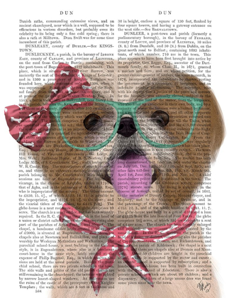 Picture of SHIH TSU WITH GLASSES AND SCARF