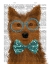 Picture of YORKSHIRE TERRIER WITH GLASSES AND BOW TIE