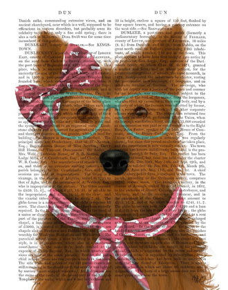 Picture of YORKSHIRE TERRIER WITH GLASSES AND SCARF