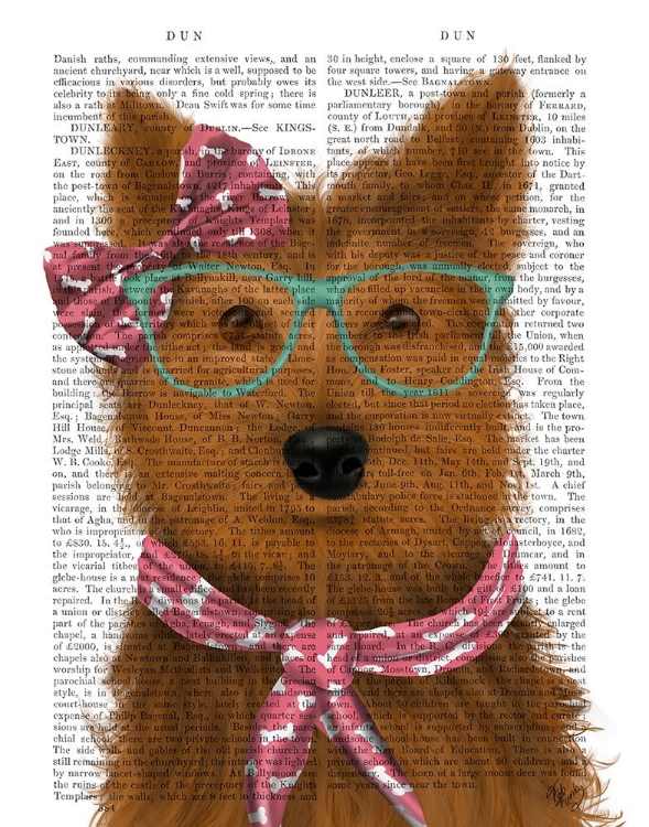 Picture of YORKSHIRE TERRIER WITH GLASSES AND SCARF
