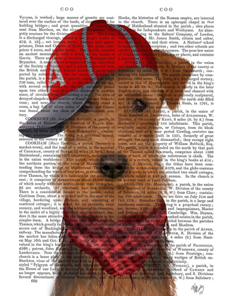 Picture of AIREDALE AND BASEBALL CAP