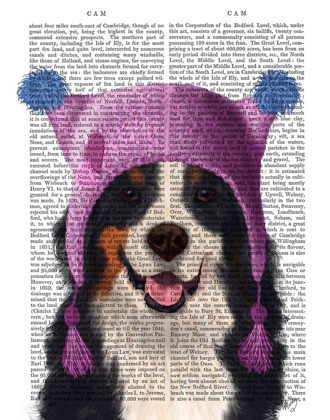 Picture of BERNESE AND BOBBLE HAT