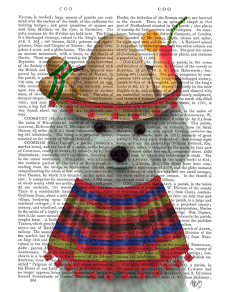 Picture of BICHON FRISE IN MEXICAN COSTUME