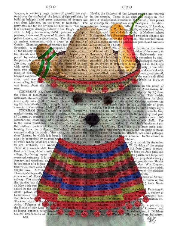 Picture of BICHON FRISE IN MEXICAN COSTUME