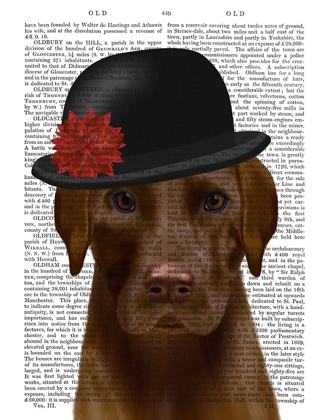 Picture of CHOCOLATE LABRADOR AND BOWLER