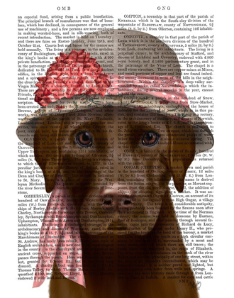 Picture of CHOCOLATE LABRADOR HAT AND PINK SCARF