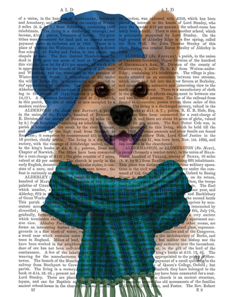 Picture of CORGI BASEBALL HAT AND SCARF