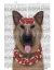 Picture of GERMAN SHEPHERD EDELWEISS