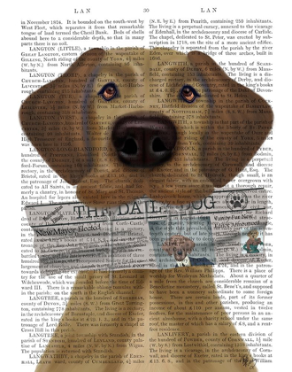 Picture of GREAT DANE NEWSPAPER