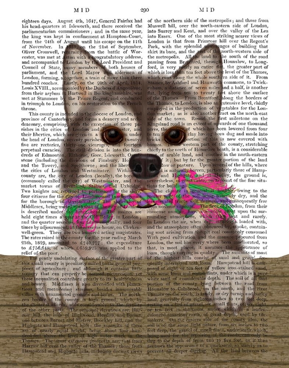 Picture of HUSKY AND ROPE BONE