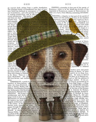 Picture of JACK RUSSELL BIRD WATCHER