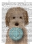 Picture of LABRADOODLE, CREAM, FOOD BOWL