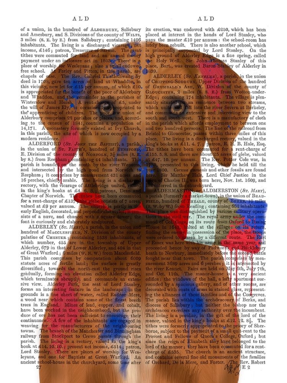 Picture of RHODESIAN RIDGEBACK PAINTER