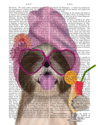 Picture of SHIH TZU WITH COCKTAIL