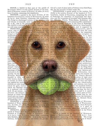 Picture of YELLOW LABRADOR AND TENNIS BALLS