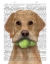 Picture of YELLOW LABRADOR AND TENNIS BALLS