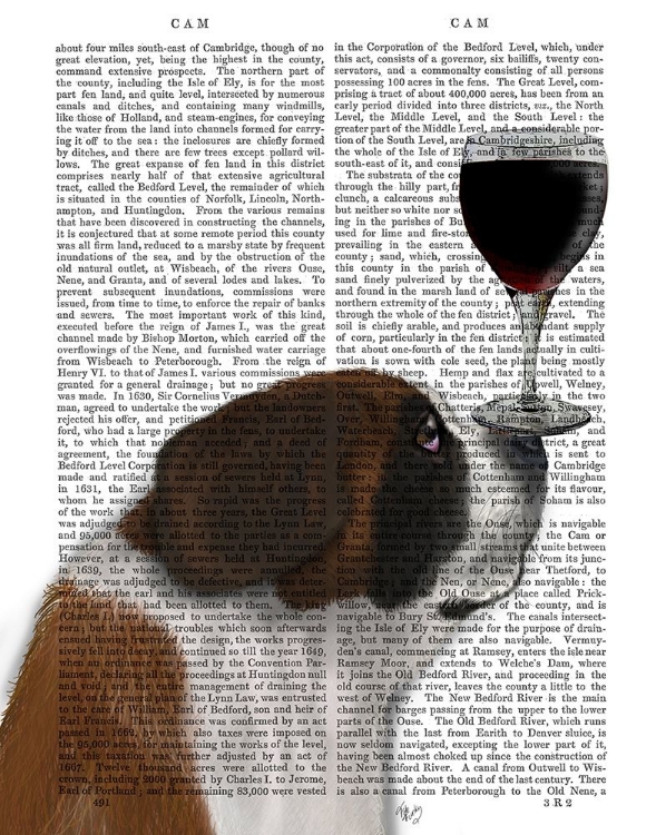 Picture of DOG AU VIN, ST BERNARD