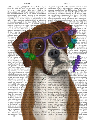 Picture of BOXER AND FLOWER GLASSES