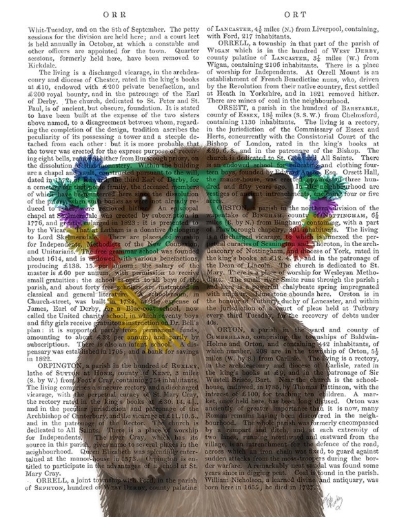 Picture of OTTER AND FLOWER GLASSES