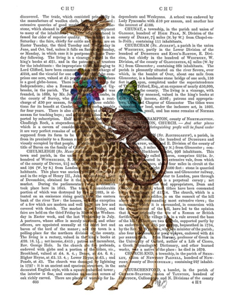 Picture of GIRAFFE AND MONKEY