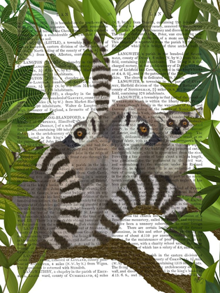 Picture of LEMUR FAMILY IN CANOPY