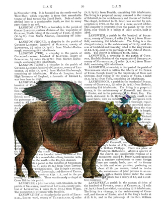 Picture of RHINO WITH STRAWBERRY CROWN