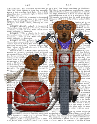 Picture of RHODESIAN RIDGEBACK CHOPPER AND SIDECAR