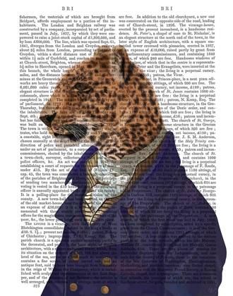 Picture of LEOPARD IN BLUE JACKET