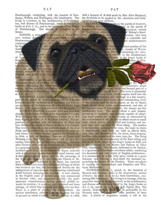 Picture of PUG AND ROSE