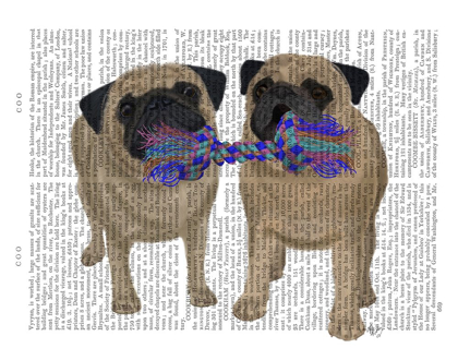 Picture of PUGS AND CLOTH BONE