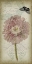 Picture of CARTOUCHE AND FLORAL II