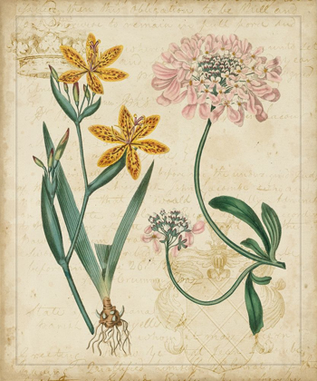 Picture of BOTANICAL REPERTOIRE I