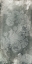 Picture of SILVER LACE II