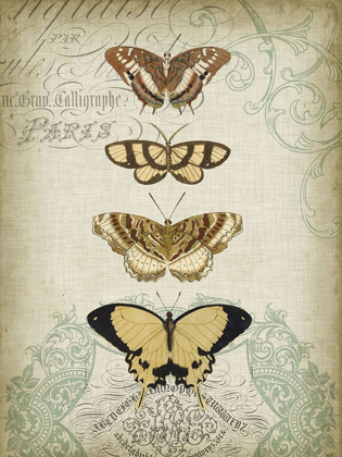 Picture of CARTOUCHE AND BUTTERFLIES II