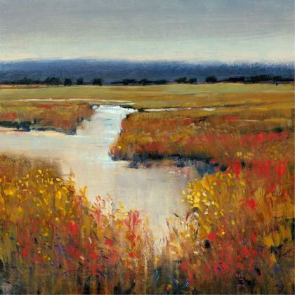 Picture of MARSH LAND I