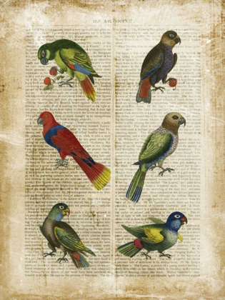 Picture of ANTIQUARIAN PARROTS I