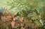 Picture of SEAWEED PANORAMA