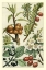 Picture of FRUITS AND FOLIAGE III