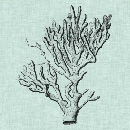 Picture of SERENE CORAL III