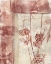 Picture of FRAMED BLOSSOMS I