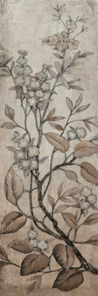 Picture of BRANCH AND BLOSSOMS I