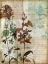 Picture of MUSIC BOX FLORAL I