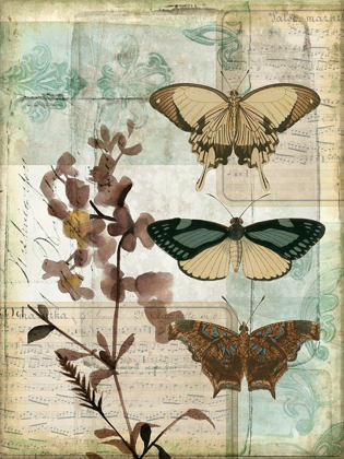 Picture of MUSIC BOX BUTTERFLIES II