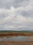 Picture of BEFORE SUNSET II