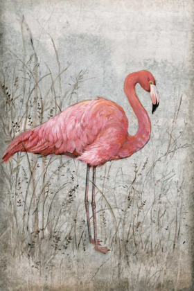 Picture of AMERICAN FLAMINGO I