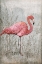 Picture of AMERICAN FLAMINGO I