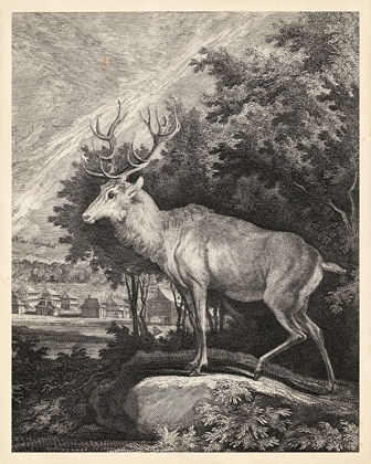 Picture of WOODLAND DEER II