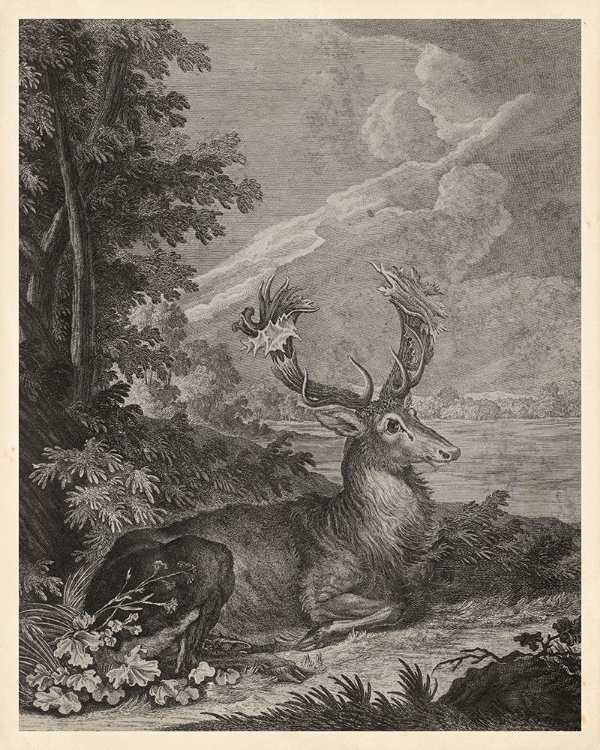 Picture of WOODLAND DEER III