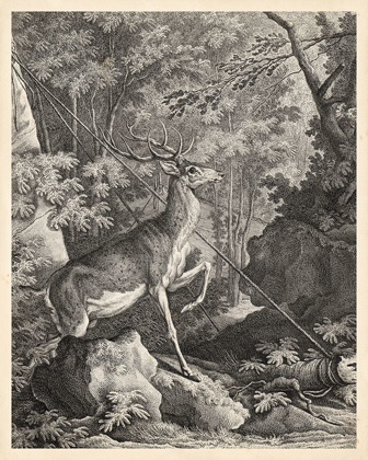 Picture of WOODLAND DEER VII